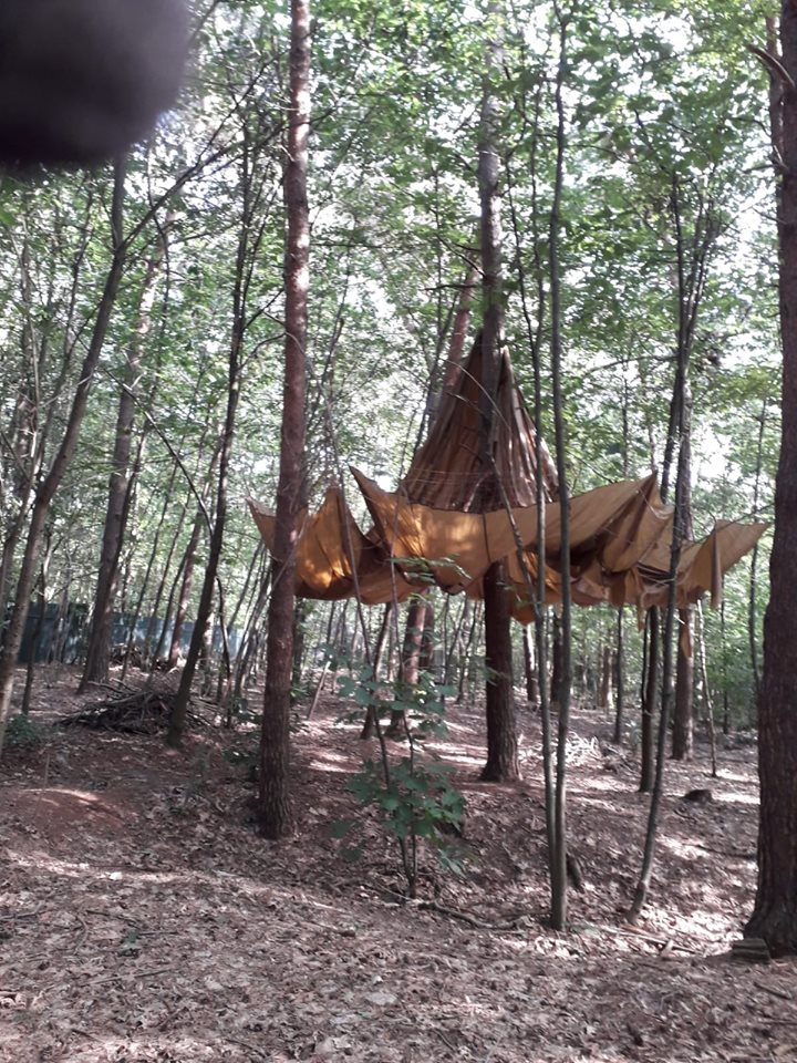 69252844_1324023137763433_8794056159737675776_n