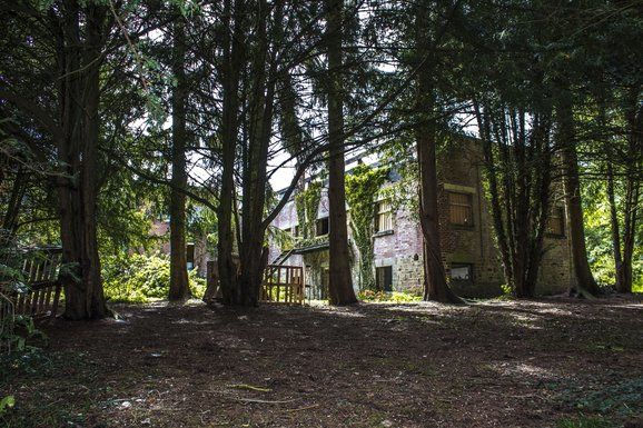 the-chambers-vanuit-bos