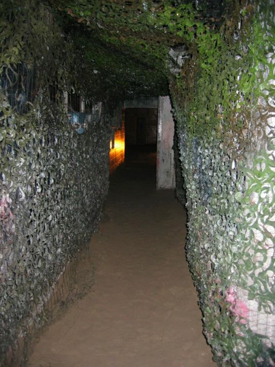 534971_343445572436974_452713631_n-2