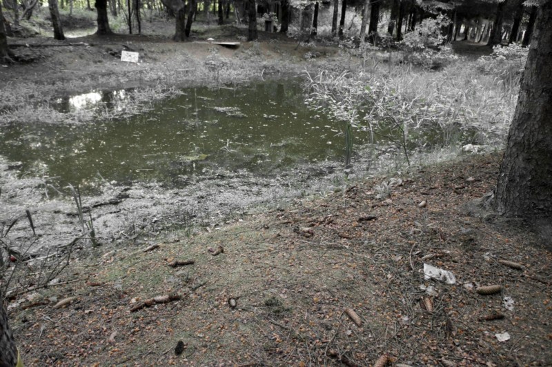 467554_369464723155484_875268856_o-2