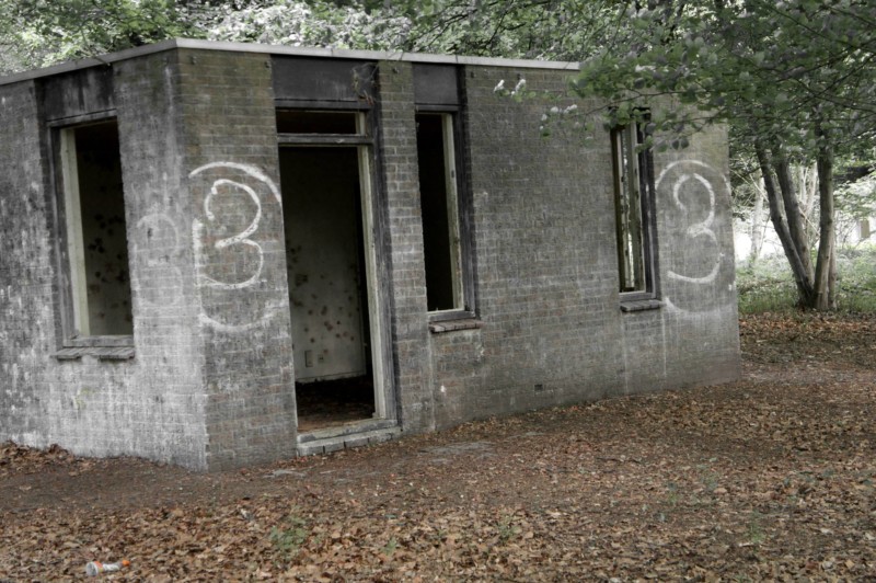 468598_369464633155493_748984183_o-2