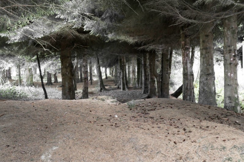 967117_369464636488826_8884608_o-2