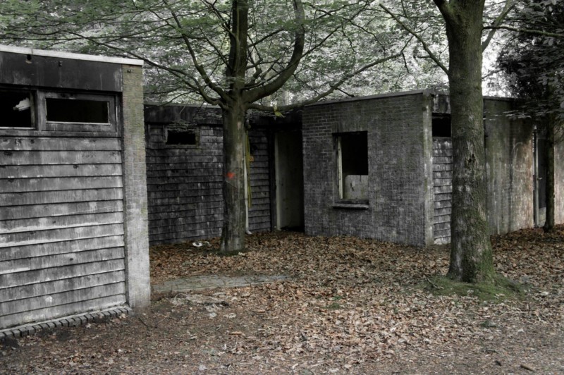 978040_369464716488818_29517392_o-2