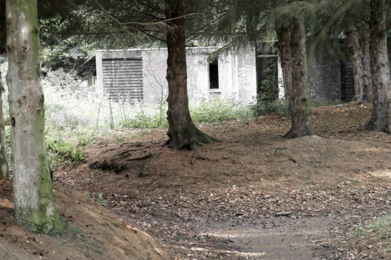 981781_369464639822159_161145443_o-2