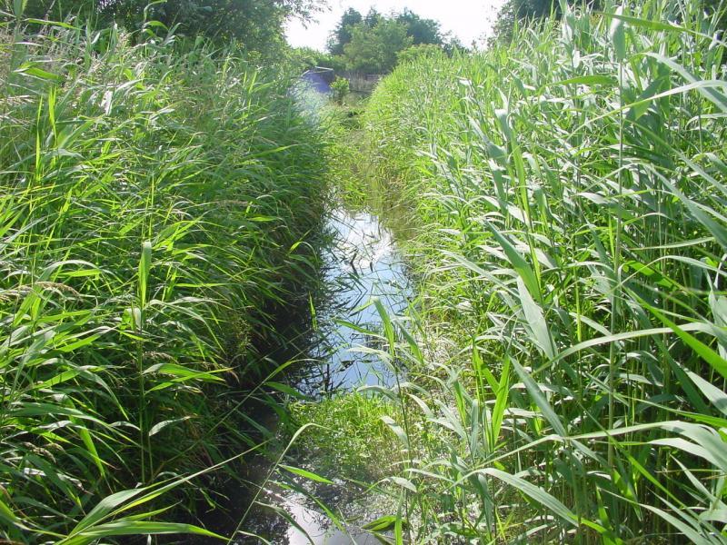 airsoft-locatie-rsl-outdoor-assendelft-8